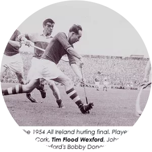Tim Flood - Hurler