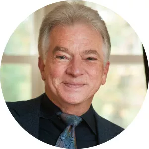 Tim Stella - Musician