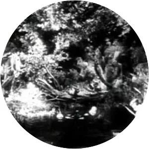 Tim Tyler's Luck - Comic strip