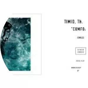 Timid, the Brave - Musical group