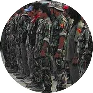 Timor Leste Defence Force