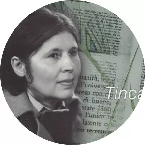 Tinca Stegovec