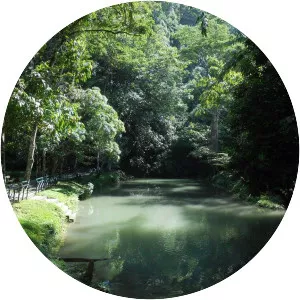 Tingo Maria National Park