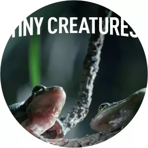 Tiny CreaturesSince 2020