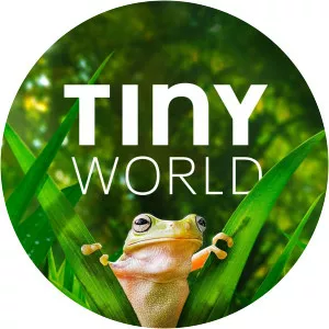 Tiny WorldSince 2020