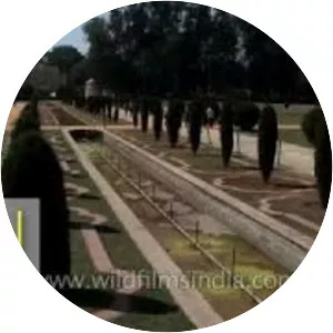 Tipu Sultan's Summer Palace