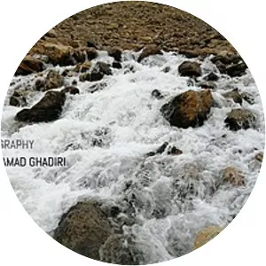 Tiran and Karvan County