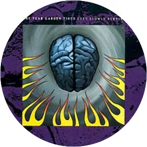 Tired Eyes Slowly Burning - 