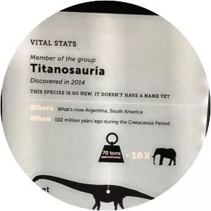 Titanosauria
