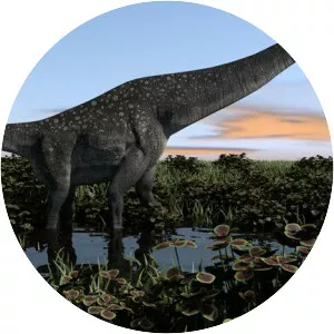 Titanosaurus 