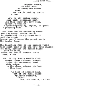 To a Mountain Daisy - Poem by Robert Burns