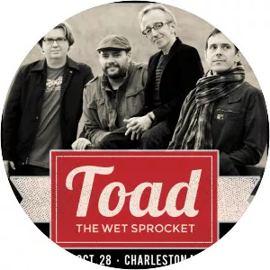 Toad the Wet Sprocket - Rock band