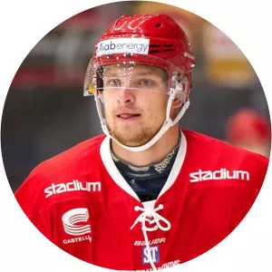 Tobias Liljendahl - Ice hockey player