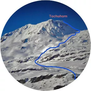 Tochuhorn