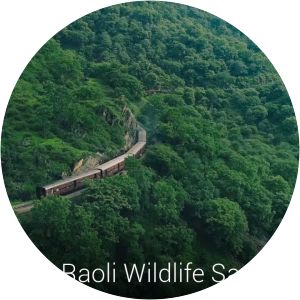 Todgarh-Raoli Sanctuary