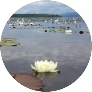 Todzha Lake - Lake in Russia