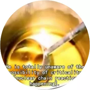 Tokaimura nuclear accident - 