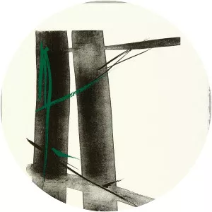 Toko Shinoda - Japanese artist