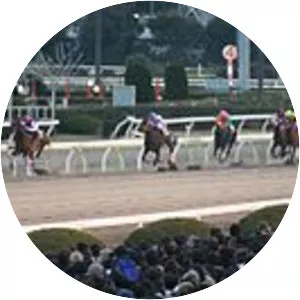 Tokyo Daishōten photograph