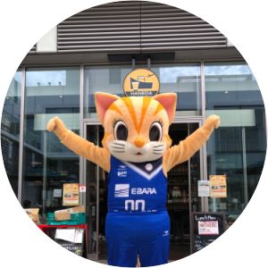 Tokyo Haneda Vickies