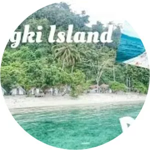 Toli Toli Labengki Volunteers Conservation Camp - 