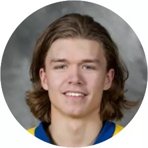 Tom Hedberg - Ice hockey player