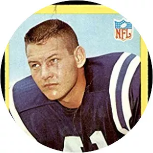 Tom Matte - American football player