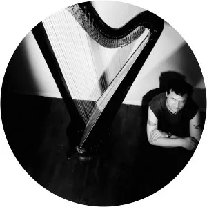 Tom Moth - Musical artist