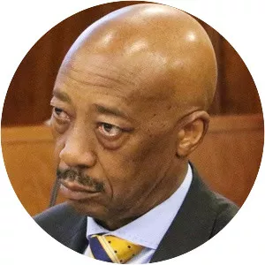 Tom Moyane - Economist