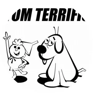 Tom Terrific - Animated series