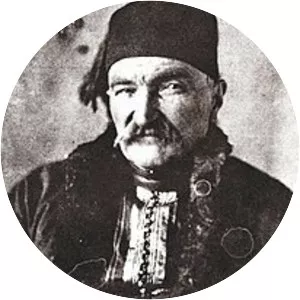 Toma Vučić-Perišić - Serbian Politician