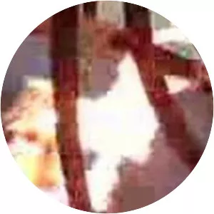 Tomb of the Unknown Soldier