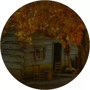 tomcbumpz - Musical artist