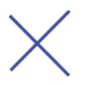 TOMEN DEVICES CORPORATION - Company