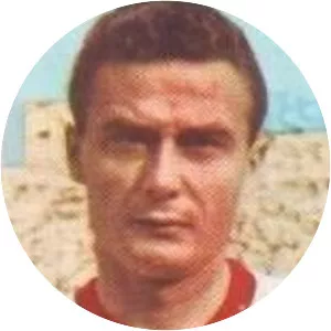 Tomislav Kaloperović