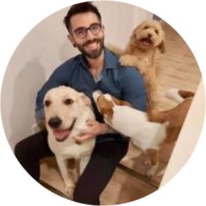 Tommaso Tesei - Writer