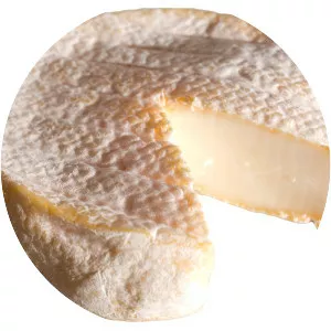 Tomme Vaudoise