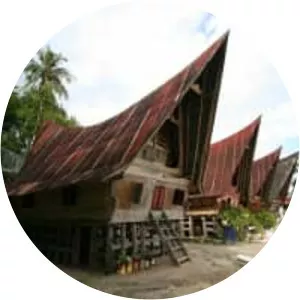 Tomok - Malaysian singer