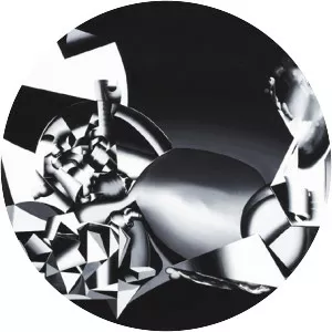 Tomoo Gokita - Visual artist