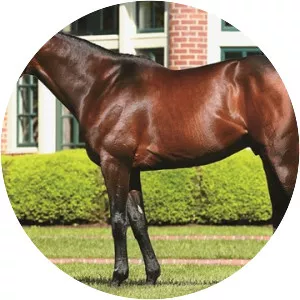 Tonalist