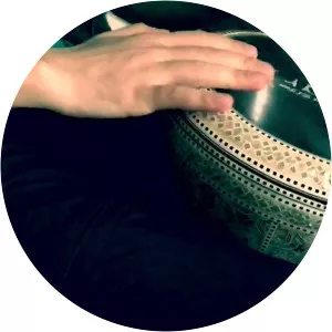 Toni Tonini - Musical artist