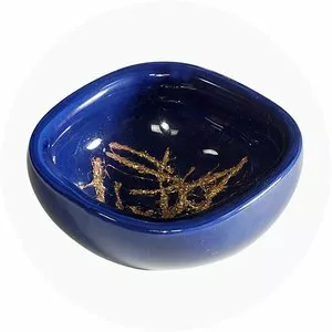 Toni Zuccheri Venini - Visual artist