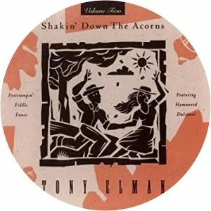 Tony Elman - Musical artist