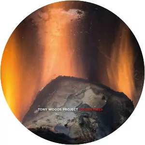 Tony Woods Project