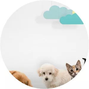 Too Cute!: ExtrasSince 2013 - TV program