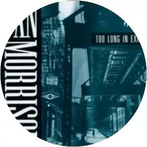 Too Long in Exile - Studio album by Van Morrison