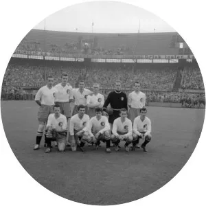 Toon Meerman - Dutch former footballer