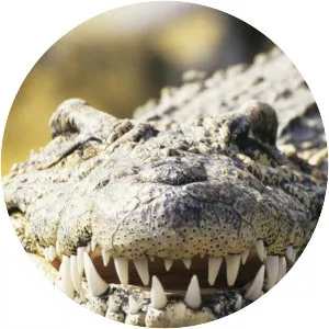 Top 10 Ultimate Predators - TV program