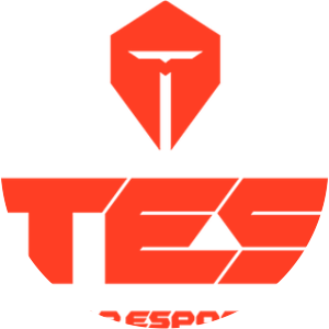 Top Esports