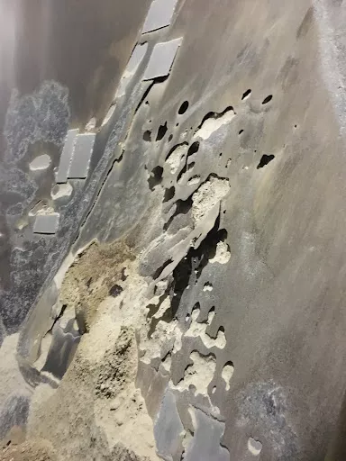 TopAlp - Height works in Lviv, Ukraine